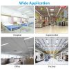 18W T8 LED Fluorescent Tube Light lamp 6500K 4FT LED Tube Clear