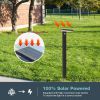 Inowel Solar Outdoor Light Pathway Dusk to Dawn Garden Lighting 17330